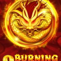 9BurningDragons513x767
