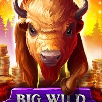 BigWildBuffalo513x767