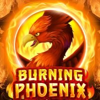 BurningPhoenix40513x767