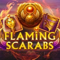 FlamingScarabs40513x767