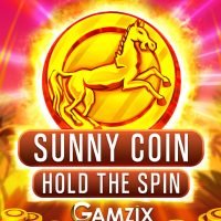 SunnyCoinHoldTheSpin513x767