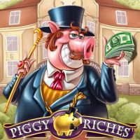 piggyriches513x767